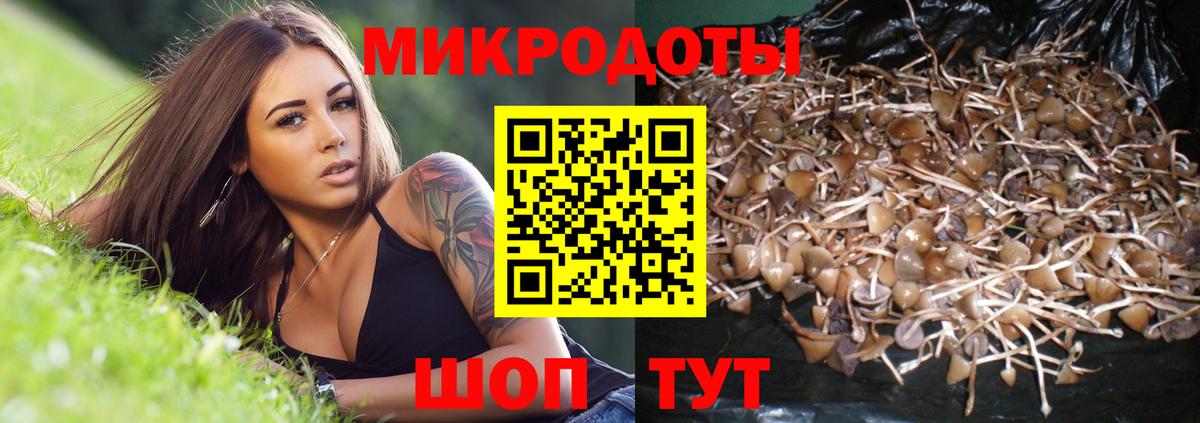 Галлюциногенные грибы мицелий  Галлюциногенные грибы Psilocybe  Вход с VPN  Верхний Уфалей 